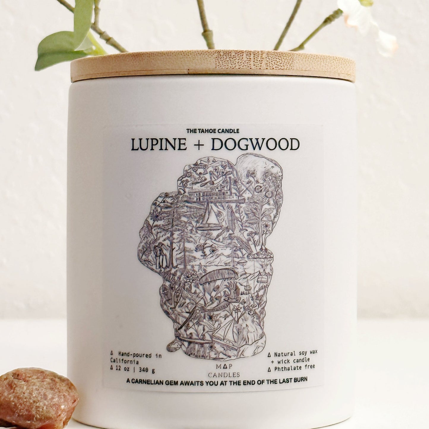 Lupine + Dogwood
